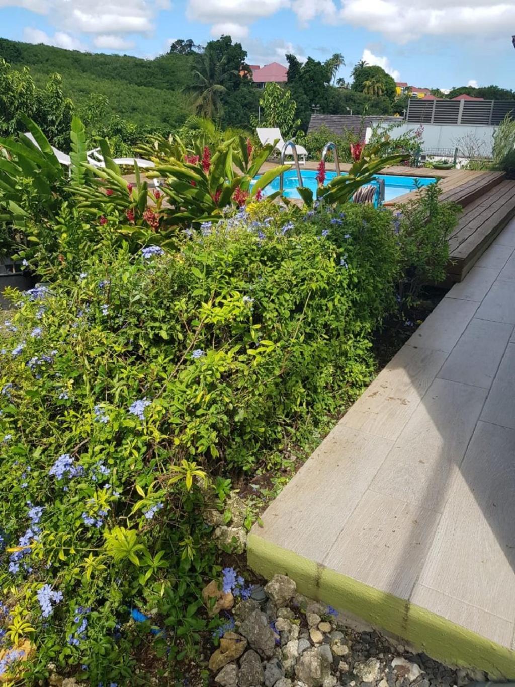 Studio Avec Piscine, A 3 Minutes A Pied Des Plages Sainte-Anne  Ngoại thất bức ảnh